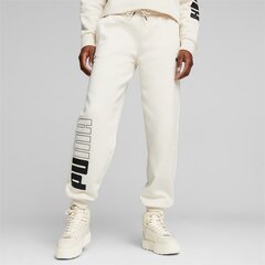 Штаны PUMA POWER Colorblock Sweatpants FL цена и информация | Женские брюки | 220.lv