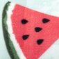 Piknika paklājs Nils Camp Watermelons NC2312, 220x200 cm cena un informācija | Tūrisma matrači un paklājiņi | 220.lv