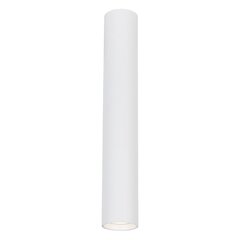 светильник, 1xgu10, 40 см, белый цена и информация | Потолочный светильник | 220.lv