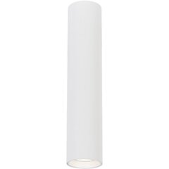 светильник, 1xgu10, 30 см, белый цена и информация | Потолочный светильник | 220.lv