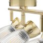 Milagro griestu lampa Best ML9976 cena un informācija | Griestu lampas | 220.lv
