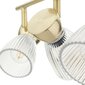 Milagro griestu lampa Best ML9976 cena un informācija | Griestu lampas | 220.lv