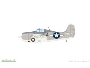 Eduard -  Grumman FM-1 Wildcat Profipack, 1/48, 82204 цена и информация | Конструкторы и кубики | 220.lv