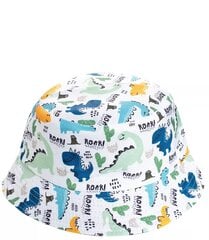 Cepure zēniem, krāsaina цена и информация | Шапки, перчатки, шарфы для мальчиков | 220.lv