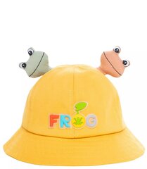 Cepure zēniem, dzeltena цена и информация | Шапки, перчатки, шарфы для мальчиков | 220.lv