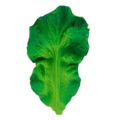 Graužammanta Oli&Carol, Kendall the Kale, 1 gab. cena un informācija | Zobu riņķi | 220.lv
