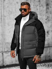 Rosso Куртки Grey 31M5008/GREY 31M5008/GREY/48 цена и информация | Женские куртки | 220.lv