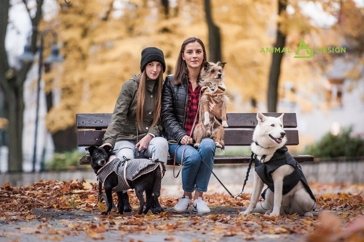 Animal Design zaļgani melns kažoks izmērs 02 24cm cena un informācija | Apģērbi suņiem | 220.lv