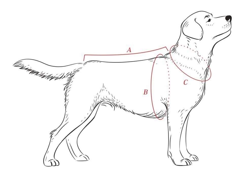 Animal Design zaļgani melns kažoks izmērs 02 24cm cena un informācija | Apģērbi suņiem | 220.lv