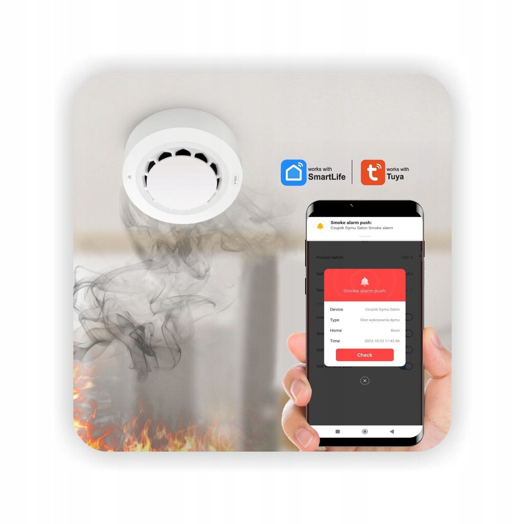 WiFi dūmu detektors ar signalizāciju цена и информация | Sensori | 220.lv