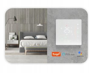 Tuya 16A WiFi termostats - elektriskā apkure цена и информация | Обогреватели | 220.lv