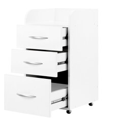 Комбинированный шкаф II белый цена и информация | Мебель для салонов красоты | 220.lv