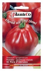 Tomāti Or Pera d Abruzzo PlantiCo cena un informācija | Dārzeņu, ogu sēklas | 220.lv