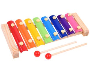 Деревянный цветной ксилофон цена и информация | Развивающие игрушки | 220.lv