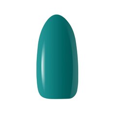 Стойкий гибридный гель лак для ногтей CLARESA WARMIN" FALL 2, 5 г цена и информация | Лаки для ногтей, укрепители | 220.lv