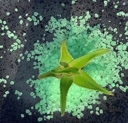 Vannas sāls Green Garden Bath Salt Aloe Vera, 1000 g cena un informācija | Dušas želejas, eļļas | 220.lv