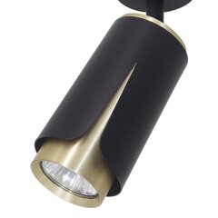 Потолочный светильник Milagro Flower ML0264 цена и информация | Потолочные светильники | 220.lv