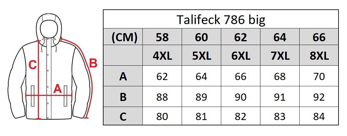 Virsjaka vīriešiem Talifeck 7861 big цена и информация | Vīriešu virsjakas | 220.lv