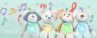 Интерактивная плюшевая игрушка InnoGIO Giofriends Mateo цена и информация | Игрушки для малышей | 220.lv