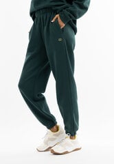 женские спортивные штаны HOOTOMI, зеленый цена и информация | Спортивная одежда для женщин | 220.lv