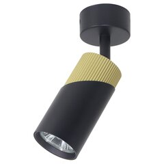 Milagro griestu lampa Neo ML0280 цена и информация | Потолочные светильники | 220.lv