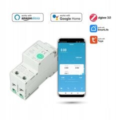 Zigbee drošinātājs Tuya 1-63A Enerģijas mērīšana цена и информация | Электрические выключатели, розетки | 220.lv