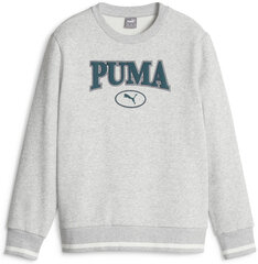 Puma Джемпер Squad Crew Fl Grey 676355 04 676355 04/152 цена и информация | Свитеры, жилетки, пиджаки для мальчиков | 220.lv