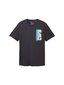 Tom Tailor vīriešu t-krekls, tumši pelēks cena un informācija | Vīriešu T-krekli | 220.lv