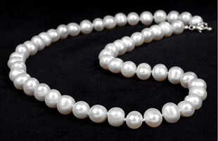 Kaklarota sievietēm JwL Luxury Pearls JL0264 ar īstām,baltām pērlēm cena un informācija | Kaklarotas | 220.lv