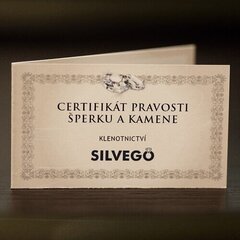 Silvego Серебряный кулон сердце с настоящими чешскими гранатами SILVEGOB180041 цена и информация | Украшения на шею | 220.lv