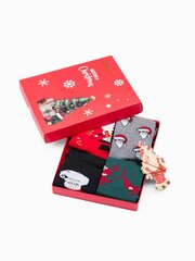 Zeķes vīriešiem Edoti X-Mas Box U436, 4 gab. цена и информация | Мужские носки | 220.lv