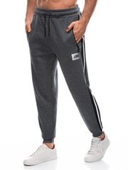 мужские спортивные штаны p1449 - темно-серые цена и информация | Мужская спортивная одежда | 220.lv