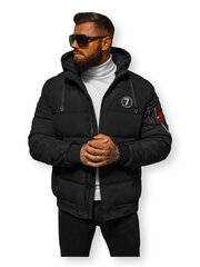 Зимняя куртка из очень прочной ткани рипстоп цена и информация | Мужские куртки | 220.lv
