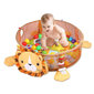 Rotaļu paklājiņš – baseins ar bumbiņām Ecotoys Lauva cena un informācija | Attīstošie paklājiņi | 220.lv