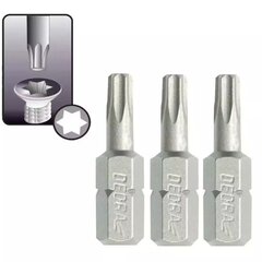 Atsuktuvo antgaliai Torx T25x25mm, 3vnt. цена и информация | Механические инструменты | 220.lv