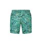 Peldšorti vīriešiem Puma Swim Printed Mid, zaļš cena un informācija | Peldšorti, peldbikses | 220.lv