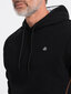 Džemperis vīriešiem Ombre Clothing V4 OM-SSNZ-22FW-006, melns cena un informācija | Vīriešu jakas | 220.lv