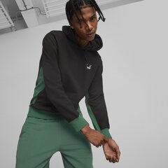 Mужская толстовка PUMA CLASSICS Block Hoodie цена и информация | Мужские толстовки | 220.lv