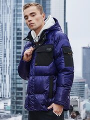 зимняя куртка c457 - фиолетовая цена и информация | Мужские куртки | 220.lv