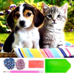 Алмазная вышивка мозаика Собака и кот, 30х30 см цена и информация | Алмазная мозаика | 220.lv