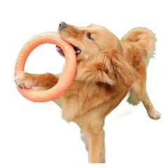 Rotaļlieta suņiem – gredzens, oranžs, 18 cm cena un informācija | Suņu rotaļlietas | 220.lv