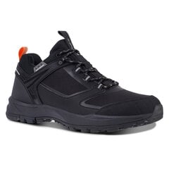Мужская повседневная обувь Icepeak ADOUR 2, черный цвет цена и информация | Кроссовки для мужчин | 220.lv