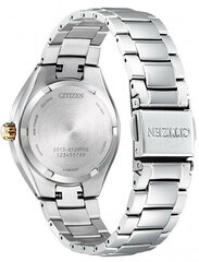 Pulkstenis Citizen Eco-Drive Titanium EW2616-83A цена и информация | Мужские часы | 220.lv