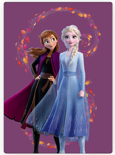 Disney Frozen Wind Polar Bērnu pleds, 100x140 cm cena un informācija | Gultas pārklāji, pledi | 220.lv