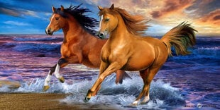 Horses Seaside Dvielis, 70x140 cm cena un informācija | Dvieļi | 220.lv