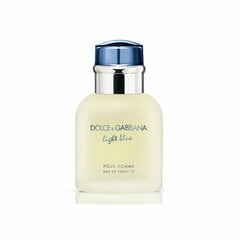 Туалетная вода для мужчин Dolce & Gabbana Light Blue Pour Homme EDT для мужчин, 40 мл цена и информация | Мужские духи | 220.lv