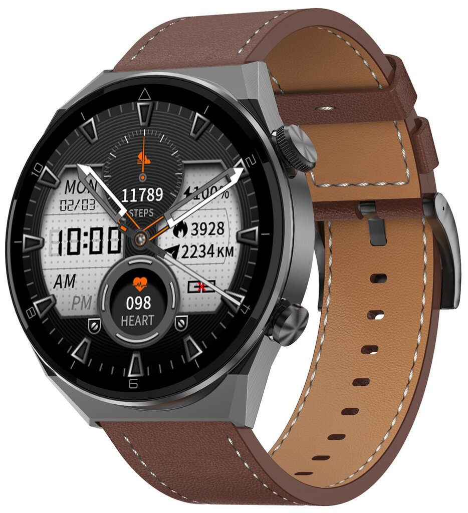 Zaxer ZT3 Pro Max Black/Brown Leather цена и информация | Viedpulksteņi (smartwatch) | 220.lv