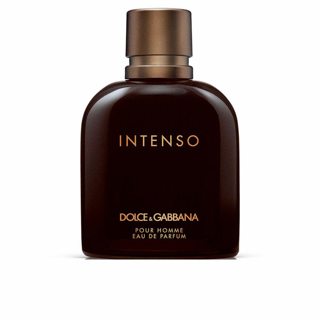 Parfimērijas ūdens Dolce & Gabbana Intenso Pour Homme EDP vīriešiem, 200 ml cena un informācija | Vīriešu smaržas | 220.lv