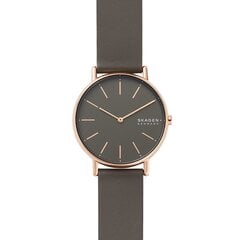 Женские часы Skagen 890855490 цена и информация | Женские часы | 220.lv