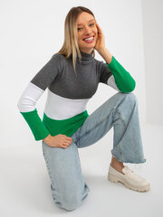 Džemperis sievietēm, dažādas krāsas cena un informācija | Sieviešu džemperi | 220.lv